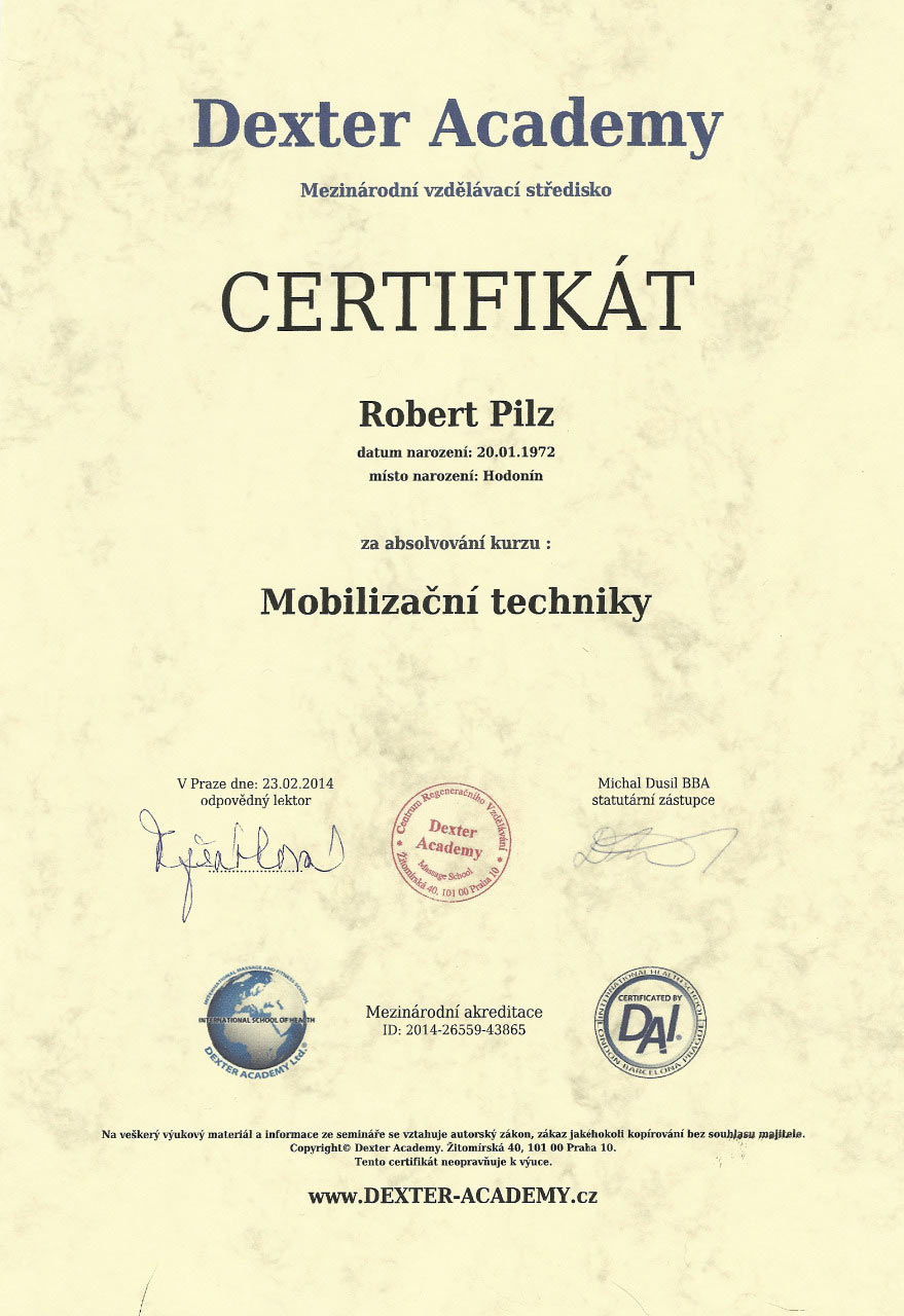 mobilizace