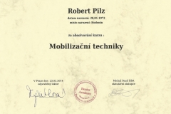 mobilizace